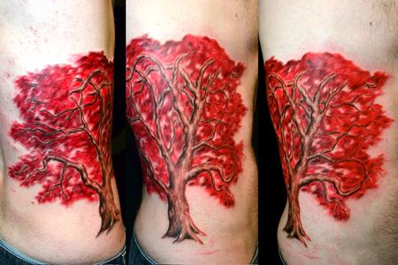 Ryan El Dugi Lewis - Red Japanese Maple Tree